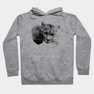 Mountain lion Hoodie